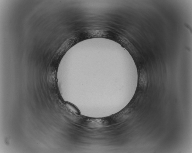 X0000100850473200807111220