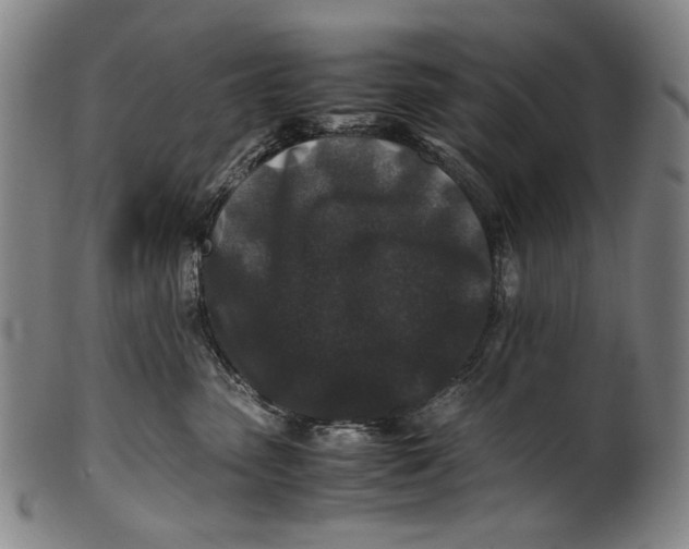 X0000100850475200807111220