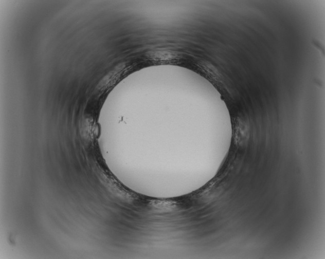 X0000100850476200807111220