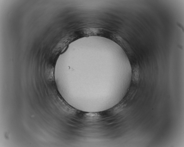 X0000100850477200807111220