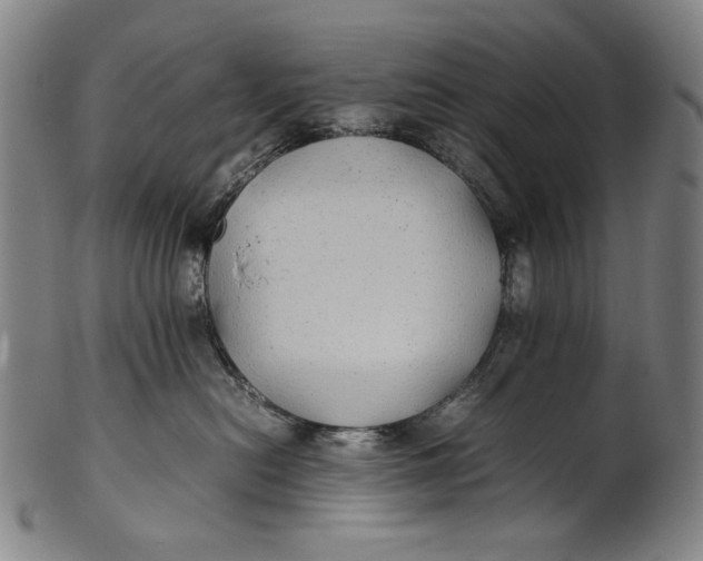 X0000100850478200807111220