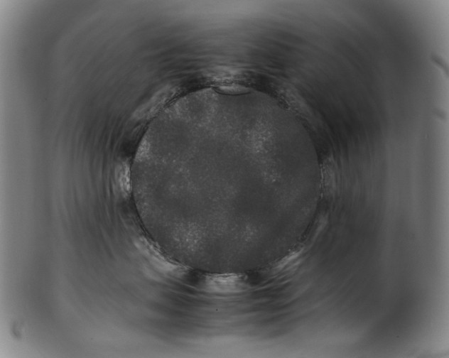 X0000100850479200807111220