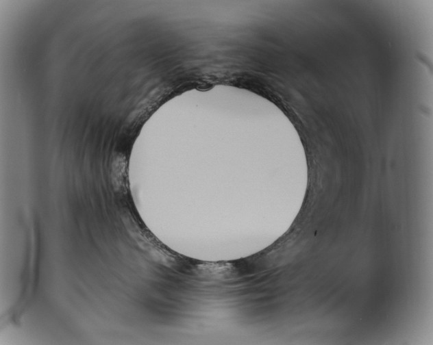 X0000100850480200807111220