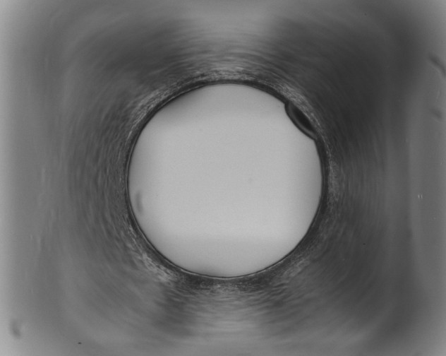 X0000100850481200807111220