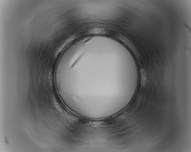 X0000100850482200807111220