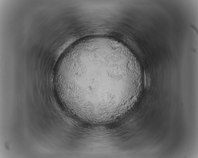 X0000100850483200807111220