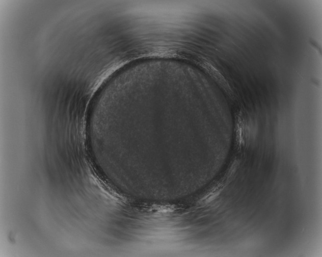 X0000100850484200807111220