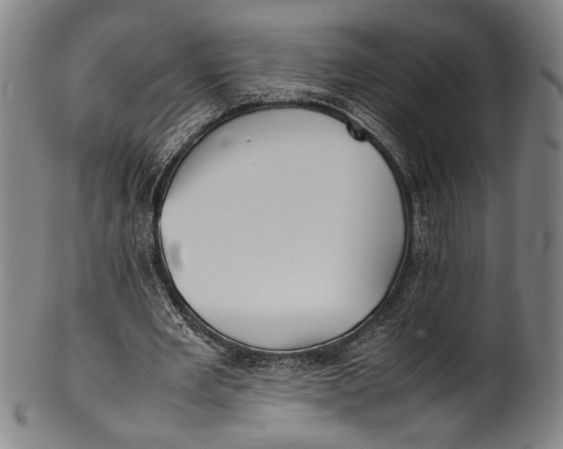 X0000100850485200807111220