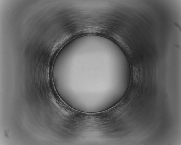 X0000100850486200807111220