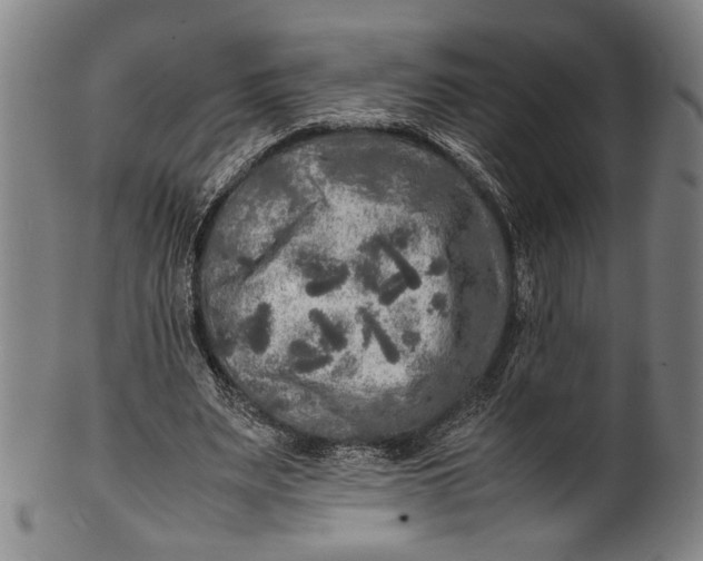 X0000100850487200807111220