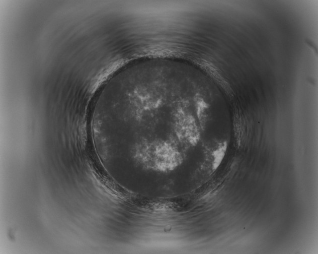 X0000100850488200807111220