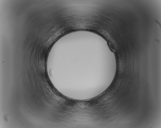 X0000100850489200807111220