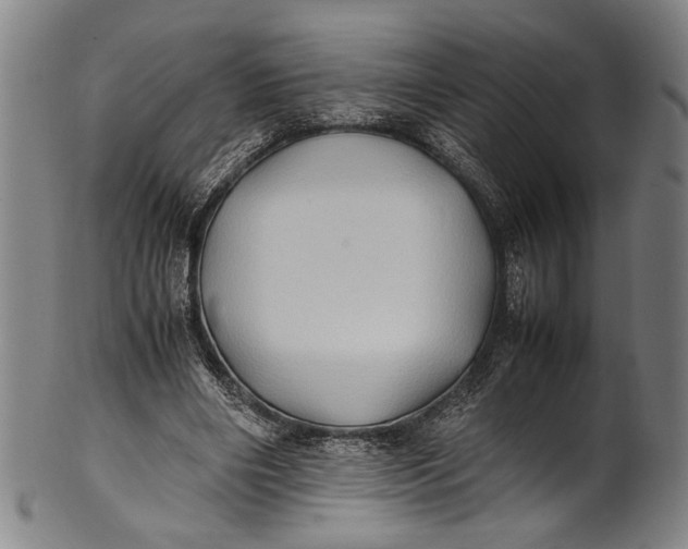 X0000100850490200807111219