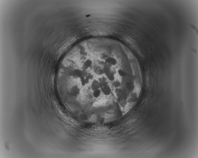 X0000100850491200807111219