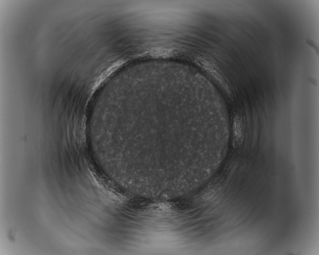 X0000100850492200807111219