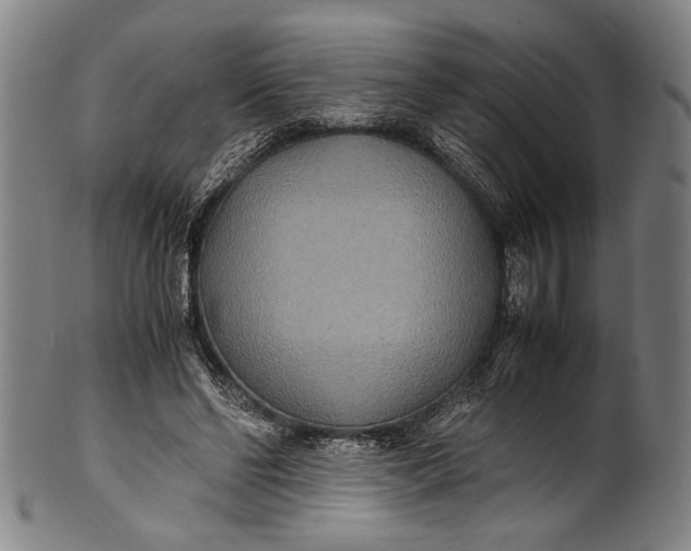 X0000100850494200807111219