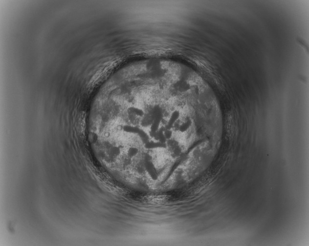 X0000100850495200807111219