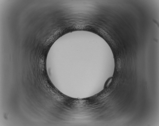 X0000100850497200807111219