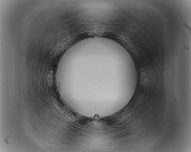 X0000100850498200807111219