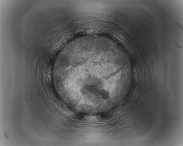 X0000100850499200807111219