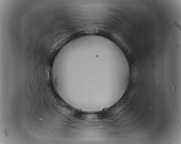 X0000100850501200807111219