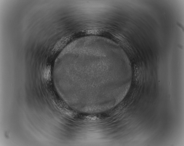 X0000100850502200807111219