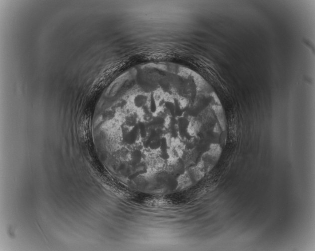 X0000100850503200807111219