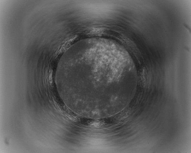 X0000100850504200807111219