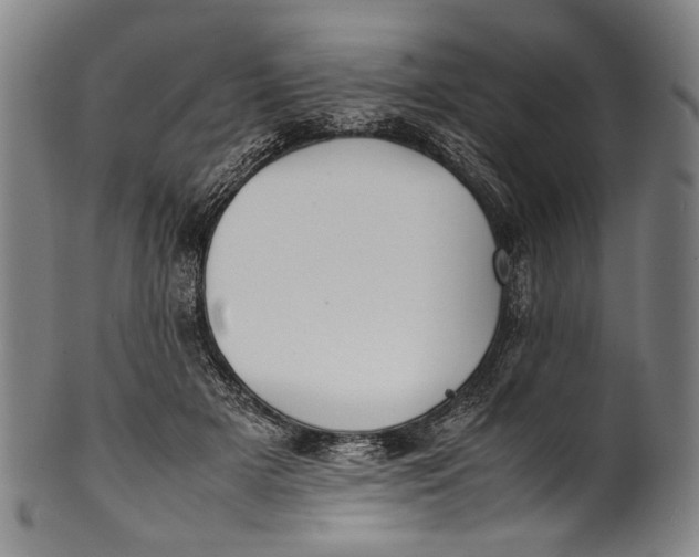 X0000100850505200807111219