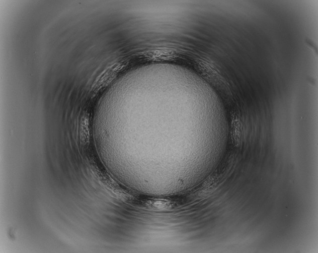 X0000100850506200807111219