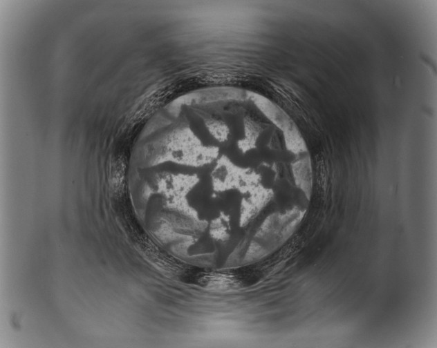 X0000100850507200807111219