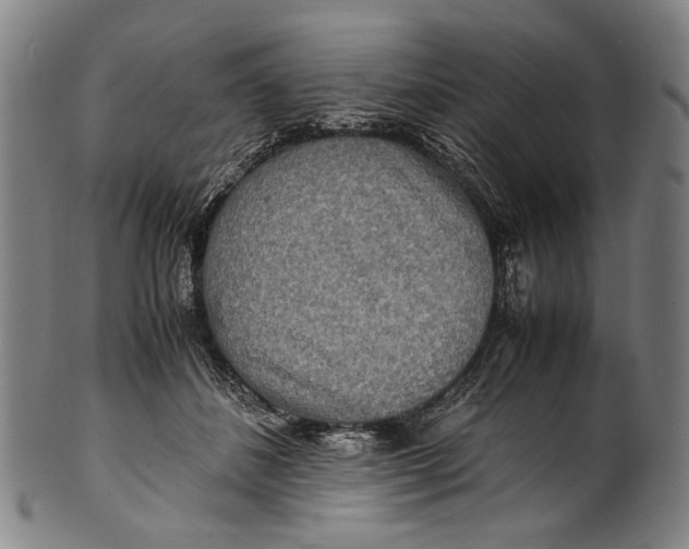 X0000100850508200807111219