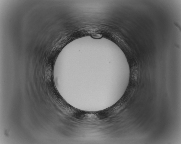 X0000100850509200807111219