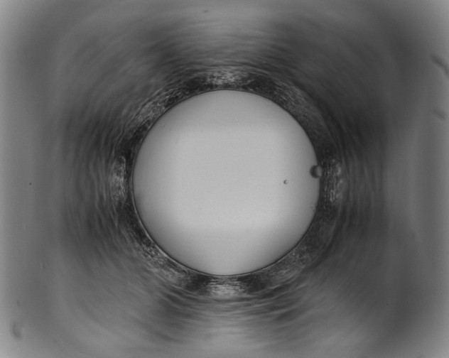 X0000100850510200807111219