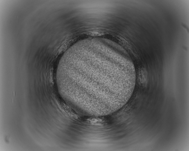 X0000100850512200807111219