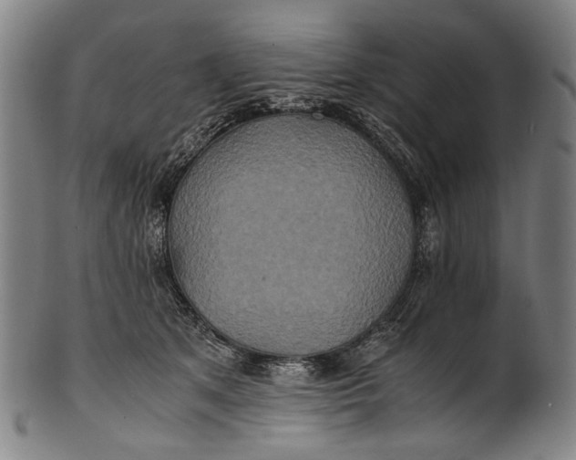 X0000100850513200807111219