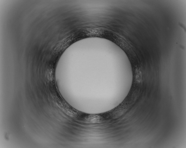 X0000100850514200807111219