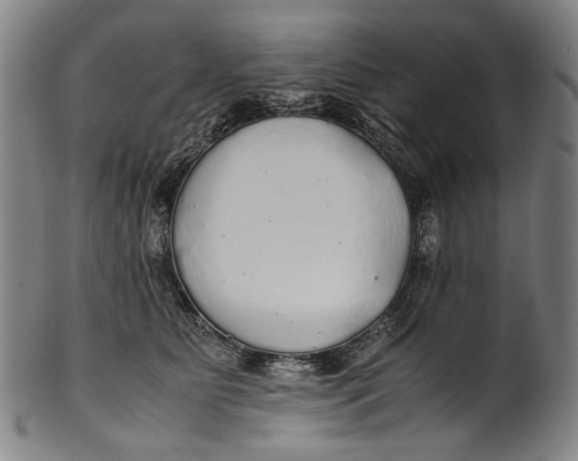 X0000100850515200807111219