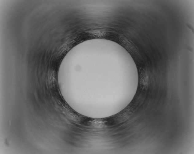 X0000100850518200807111219