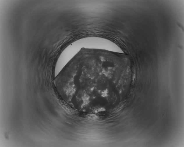 X0000100850519200807111219