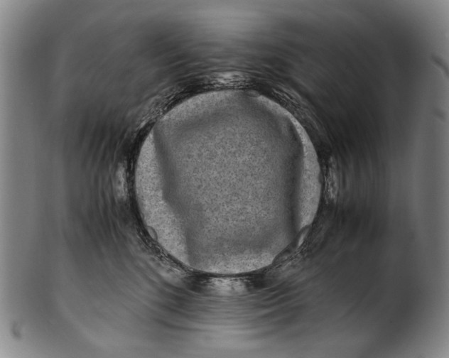 X0000100850520200807111219