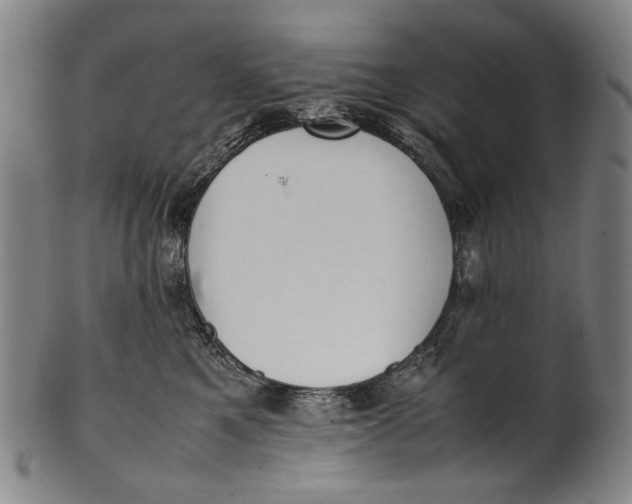 X0000100850521200807111219