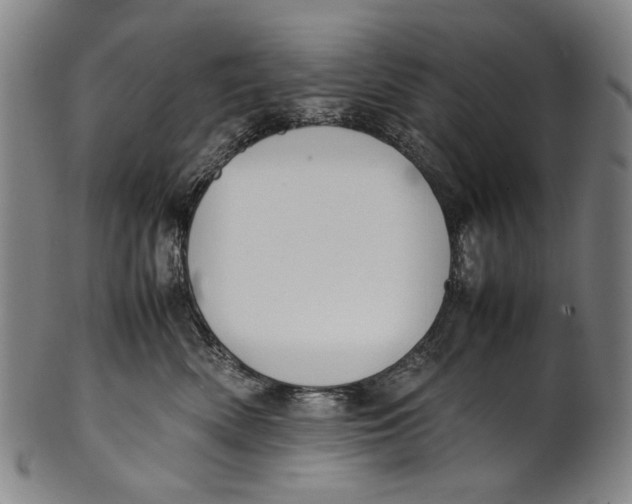 X0000100850522200807111219