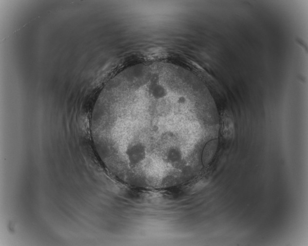 X0000100850523200807111219