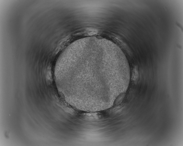 X0000100850524200807111219