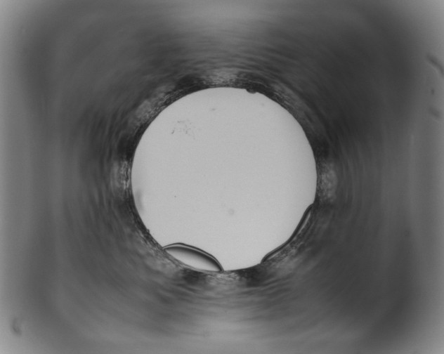 X0000100850525200807111219