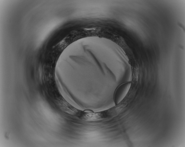 X0000100850526200807111219