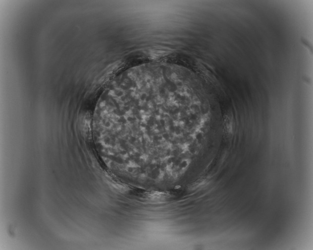 X0000100850527200807111219