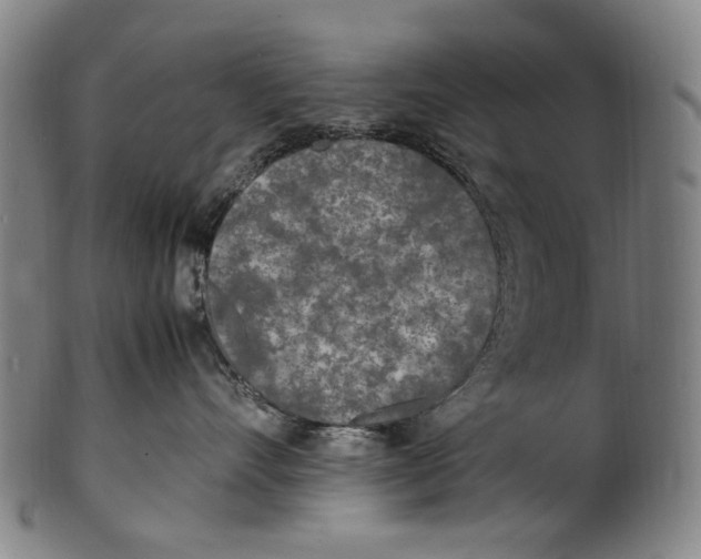 X0000100850528200807111219