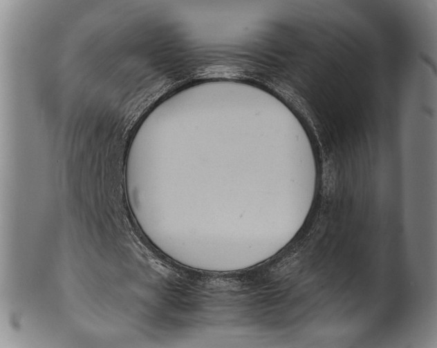 X0000100850529200807111218